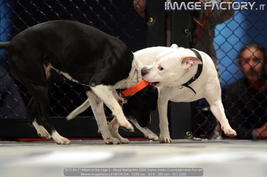 2012-04-21 Milano in the cage 2 - Mixed Martial Arts 0380 Siamo contro il combattimento fra cani